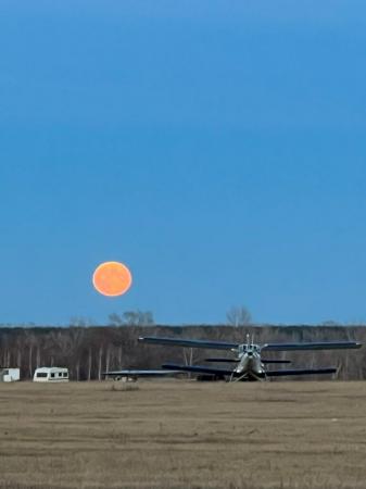 Фотография АНО ДПО Омский АСК ДОСААФ России 4