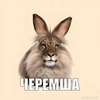Лена Пич