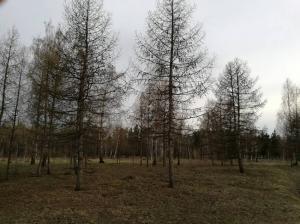 Фотография Альбатрос 5