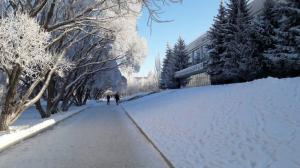 Фотография Альбатрос 3