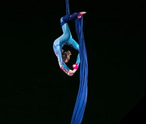 Фотография Центр пилонного спорта и воздушной гимнастики 5