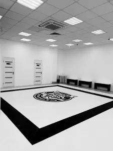 Фотография Союз BJJ 0