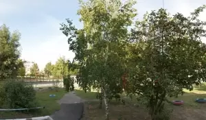 Фотография Федерация Тхэквондо 2