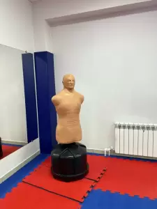 Фотография Федерация Тхэквондо 4